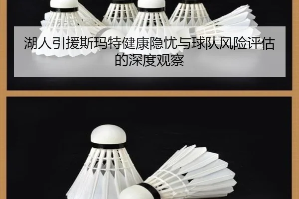 湖人引援斯玛特健康隐忧与球队风险评估的深度观察